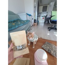 고양이 간식 민물 고기 멸치