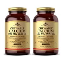 솔가 SOLGAR 츄어블 칼슘 Chewable Calcium 500 mg 120정 2병