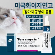 미국수입 Terramycin 반려동물 눈염증연고 강아지 결막염 눈물개선/눈건강 5통구입제한 C-0352, 5개, 3.5g
