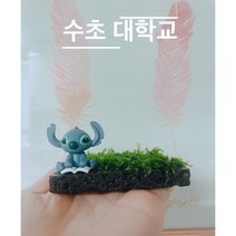 수초대학교 물미역모스 활착 피규어활착판 살아있는미역모스 새우놀이터 물고기쉼터 모스활착 8x8사이즈, 부착