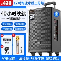 이동형 야외 스피커 광장 700W 시위용 행사용 스퀘어 댄스 오디오 스피커 k 노래 성능 휴대용 소형 야외 모바일 레버 무선 마이크가있는 전문 전용 고출력 볼륨 블루투스 서브 우퍼, 13 18인치스피커프로페셔널퍼포먼스스피커+무선마이크
