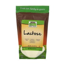 나우푸드 Lactose 락토스 락토오스 454g 코셔, 1개, 기본