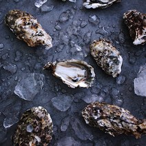 아주부 통영 개체굴 삼배체 생굴 석화 삼배체석화 1kg 3kg 5kg, 삼배체 석화 (10~25미 내외) 5kg
