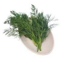 야채24닷컴 딜 허브 생잎 500g, 1개