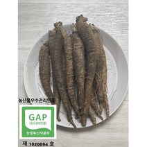 [10년자연산흙더덕1kg가격] <컴팜>실속 제주 흙더덕 2kg, 중 2kg