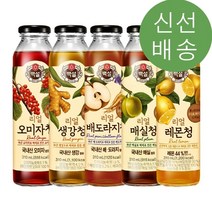 백설 리얼 담금청 매실청/생강청/오미자청/레몬청/배도라지청 310ML, 04.리얼 레몬청 310ML
