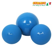 짐닉 메드볼 블루 메디슨볼 메디신볼, 1kg/블루
