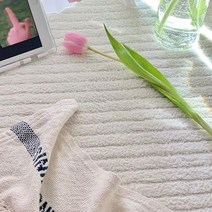뉴볼륨 사계절 물세탁 아이방 단모 러그 대형 미니 거실카페트 4color