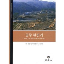 공주 한천리:무성산 기슭 뜸밭 열두 동네의 청정마을, 민속원, 충남대학교마을연구단 저
