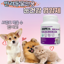 강아지 고양이 루테인 눈 백내장 영양제, 1개
