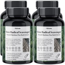 어스빌 프랑스해안송 소나무껍질 추출물 500mg 프로안토시아니딘 폴리페놀 베지캡슐, 60정, 4개