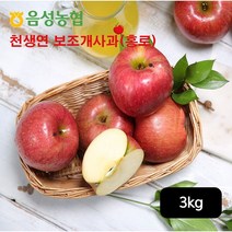 농협 음성농협 천생연 보조개사과 3kg, 단일옵션