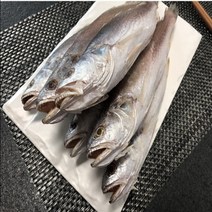 선우수산 반건조생선 반찬용 민어조기 5마리