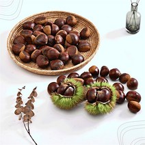 굿소일 굿소일 국내산 간편 군밤용 홀라당 포르단밤 대 1kg (9414472), 소중한분을위한특별한선택