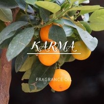 카마 L-TYPE 50ml 100ml 500ml 1L 국내S 타입 향기 FO 프래그런스 그란스 프로그랜스 오일