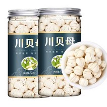 천패모 특급 패모 야생아님 1개입 50g, 1개 50g