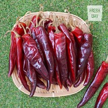 고창 황토밭 햇 건고추 1근 (600g) 2023년산