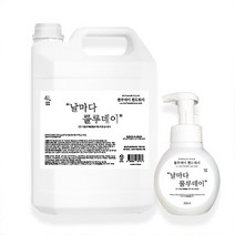룰루데이 핸드워시 4L 대용량 리필 손세정제+300ml, 4l+300ml