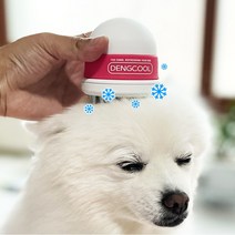 강아지 여름 더울때 강아지 쿨링 아이스팩 여름나기 여름용품 쿨링빗 댕쿨, 민트