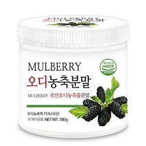 푸른들판 국산 오디 농축 분말 가루 뽕나무 열매 뽕열매 차 파우더 멀베리 mulberry, 1통, 180g