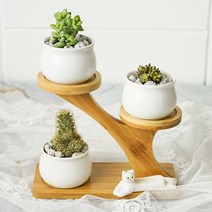 다육이 미니 화분 원목 받침대 세트 진열대 화분거치대, 민무늬스타일