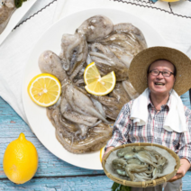 먹사부 100% 국내산 산지직송 생물 쭈꾸미 활 냉동 1kg 2kg 키로 얼음 산소포장 봄 가을 알배기 요리, 3.국내산 급냉쭈꾸미 500g