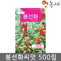 봉선화씨앗 중포장 500립, 봉선화중포장, 봉선화중포장