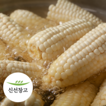 2023년 강원도 미백 찰옥수수 특품 횡성 고랭지 햇 옥수수 생옥수수, 10개