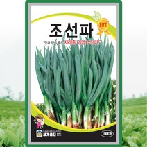 세계종묘 조선파씨앗 1000립, 1세트