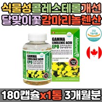 식물성 감마리놀렌산 달맞이꽃 종자유 혈행 콜레스테롤 개선 HDL콜레스테롤 LDL콜레스테롤 PMS영양제 면역과민 피부상태개선 비타민E