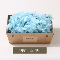 화연양화 블루밍 수국 박스수국 컬러최다 30색! 프리저브드플라워, 19 스카이
