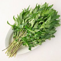 유기농 케일 신선초 즙용 샐러드용, 유기농 신선초 2kg, 1개