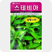 스테비아씨앗 50립 꽃 야생화 설탕허브 씨앗