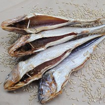 오징어군땅콩양 보리굴비 영광 법성포 왕특대 부세 내장제거 손질 (개별진공) 대 30cm이상부터 가정용, 10마리, 왕왕대대34cm이내