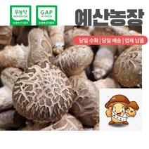 무농약인증 GAP인증 친환경 표고버섯 화고못난이 생 표고 버섯 산지직송 선물추천 끝내주는 이뿐이 특품1kg 명절선물 농장직송 이육식, 이뿐이-중