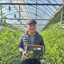 산지직송 당일발송 대저 짭짤이 토마토 2.5kg, 대저 토마토 2.5kg(S/소과/B등급)