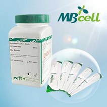 TSA (Tryptic Soy Agar)/ MBcell 미생물 배지/ 일반세균 배양배지, 1Ea