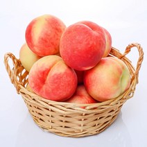 [초록자연] 딱딱이 복숭아 5kg(중) 아삭 단단한복숭아, 상세 참조