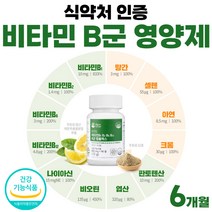 비타민B 수용성 활력 VITA MIN 영양제 비타민비 복합물 비타비 비타민 B군 복합물 기능성 프리미엄 약 6개월 여성 남자 고함량 비타 정 콤플렉스 골드 식약처 인증 수용성 메가