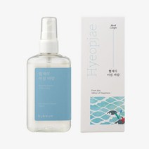 르플랑 협재의 아침바람 무드 코롱 100ml, 단품, 본상품선택, 1개