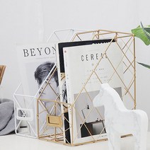 [P1G] 인테리어 파일 매거진랙 철제 잡지 책꽂이 정리함 / 서류정리함 철제꽂이 잡지꽂이 거치대 파일정리함 책꽂이선반 책거치대 책수납함 ( P1G / 559987EA ), 2단 골드