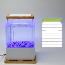 베타키우기 해수어 자동 조명 베타 희귀 열대어 세트 미니 어항, C타입(블루라이트)