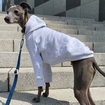 앙드레멍 이탈리안그레이하운드 아이쥐 옷 후드 티셔츠 (휘핏 베들링턴테리어 강아지), 네이비