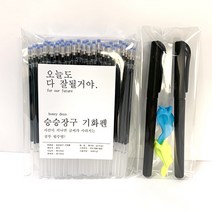 승승장구 기화펜 기출펜 사라지는볼펜 보급형 (본체2개+리필100개+실리콘홀더2개), 기화펜(본체2개+리필심100개+본체그립2개)