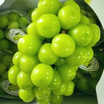 샤인 머스캣 고당도 2Kg 외, 샤인 2Kg(4수)