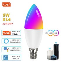 틴팅샵조명 차고 프리미엄세차장조명 밝은 산업용 야외 작업용 실내세차장 160W 9W Wifi Tuya 똑똑한 전구, 01 그렇습니다_01 E14 BULB X 1, 03 9W