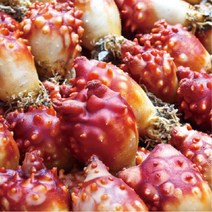 강원도 바다 풍미 짜지않은 젓갈 멍게젓 김장 국산 반찬, 멍게젓X1kg