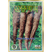 식물의집 산중더덕 씨앗 더덕씨앗
