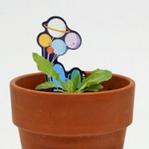 민들레 키우기 씨 구근식물 씨앗 카드