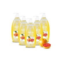 JJ 물비누 오릭스 자몽 핸드워시 500ml x5개, JJ 물비누 오릭스 데일리자몽